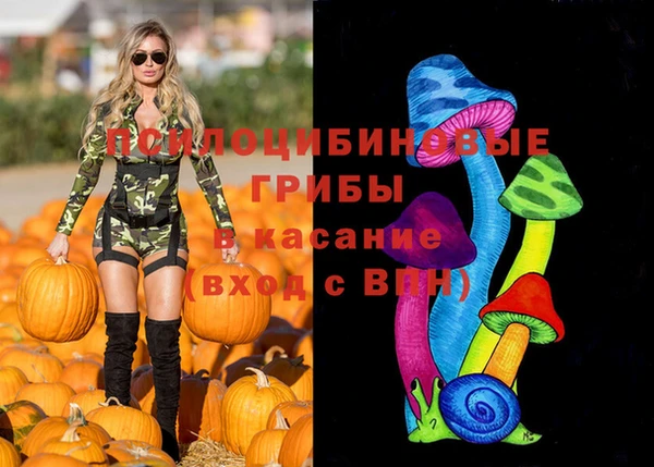 дурь Елабуга